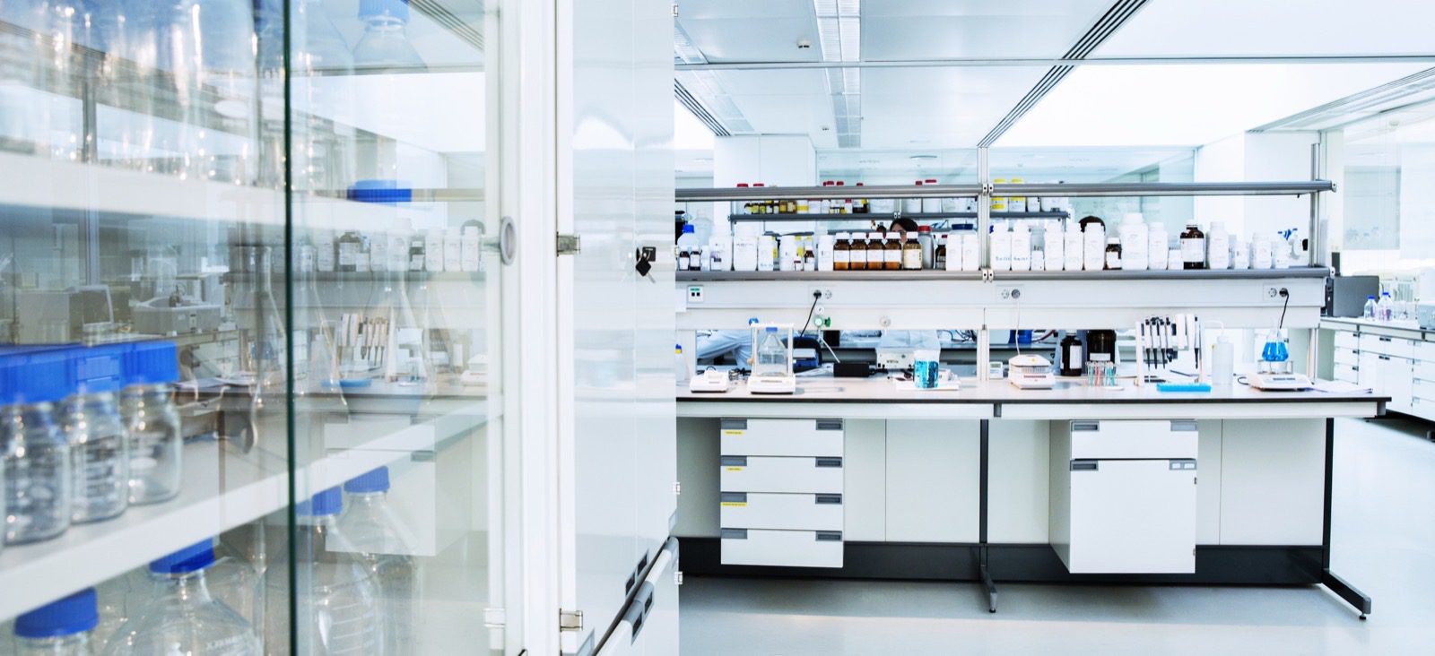 Cabinet, shelves and equipment in laboratory